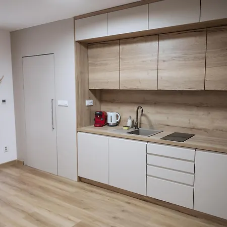 Apartment Atelier Smutna