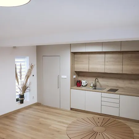 Apartment Atelier Smutna *