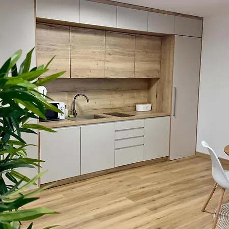 Διαμέρισμα Atelier Smutna